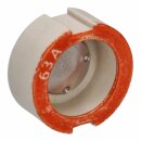 Siemens 5SH320 D-Passschraube DIII/E33 63A