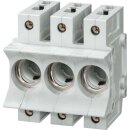 Siemens 5SG5301 NEOZED Sicherungssockel D01 3-polig 16 A...