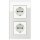 Gira Set: 2x Steckdose 445303 + 2fach Rahmen 021212