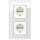 Gira Set: 2x Steckdose 418803 + 2fach Rahmen 021212