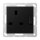 Jung A3171SWM Schaltbare Steckdose 13A 250V Serie A/AS Duroplast Graphitschwarz Matt