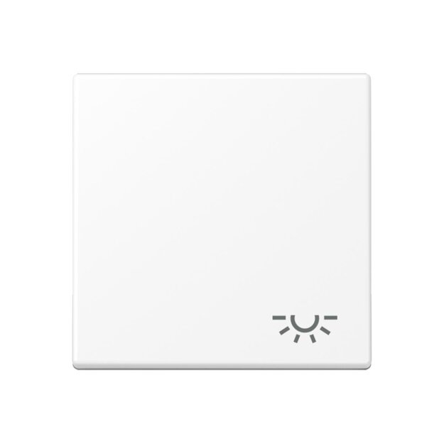 Jung A590LWWM Wippe mit Symbol "Licht" Serie A/AS Duroplast Schneeweiß Matt