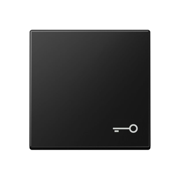 Jung A590TSWM Wippe mit Symbol "Tür" Serie A/AS Duroplast Graphitschwarz Matt