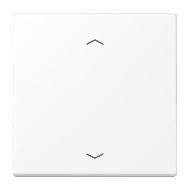 Jung ENOLS990PWWM EnOcean Funk-Wandsender 2-kanalig mit Symbol Pfeil Serie LS Thermoplast bruchsicher Schneeweiß Matt