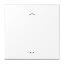 Jung ENOLS990PWWM EnOcean Funk-Wandsender 2-kanalig mit...