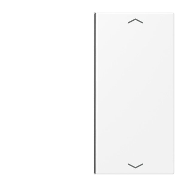 Jung LS402TSAPWWM Taste 2-fach Pfeil Serie LS Thermoplast bruchsicher Schneeweiß Matt