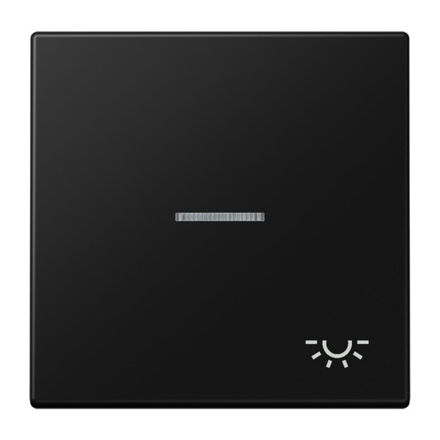 Jung LS990KO5LSWM Wippe mit Symbol "Licht" Lichtleiter Serie LS Duroplast Graphitschwarz Matt
