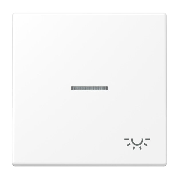 Jung LS990KO5LWWM Wippe mit Symbol "Licht" Lichtleiter Serie LS Duroplast Schneeweiß Matt