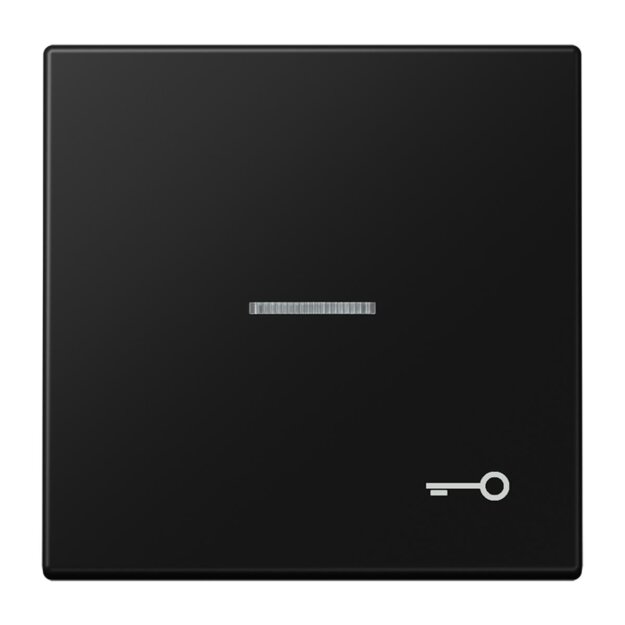 Jung LS990KO5TSWM Wippe mit Symbol "Tür" Lichtleiter Serie LS Duroplast Graphitschwarz Matt
