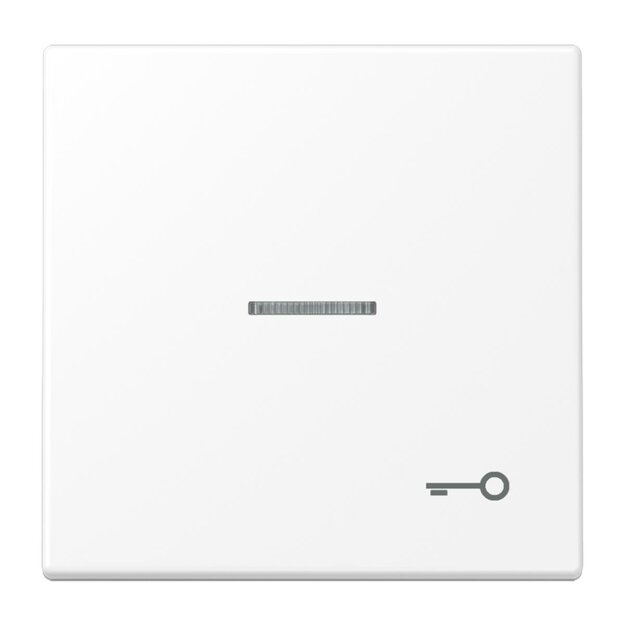 Jung LS990KO5TWWM Wippe mit Symbol "Tür" Lichtleiter Serie LS Duroplast Schneeweiß Matt