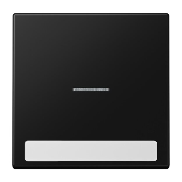 Jung LS990NAKO5SWM Wippe für Schalter/Taster Beschriftungsfeld Lichtleiter Serie LS Duroplast Graphitschwarz Matt