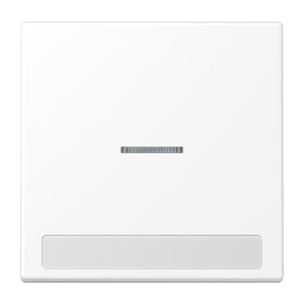 Jung LS990NAKO5WWM Wippe für Schalter/Taster Beschriftungsfeld Lichtleiter Serie LS Duroplast Schneeweiß Matt