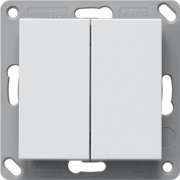 Gira 246227 BT Bluetooth Wandsender 2-fach System 55 Reinweiß Matt
