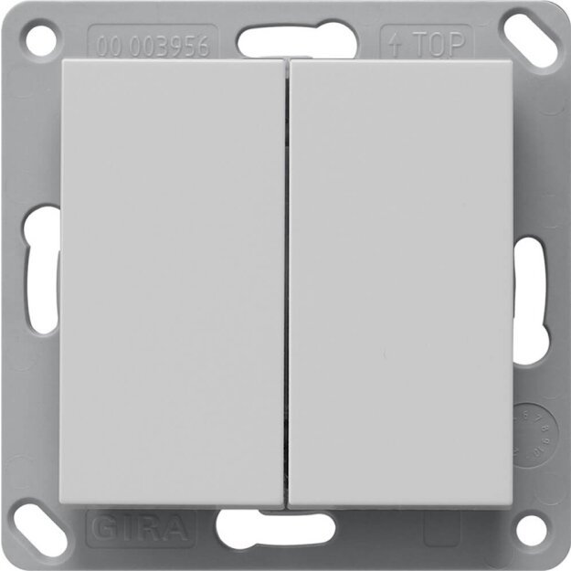 Gira 2462015 BT Bluetooth Wandsender 2-fach System 55 Grau Matt