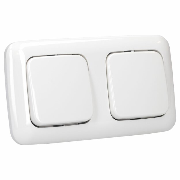 Busch-Jaeger Schalter Set: 2x 2020 US Tastschalter + 2x 2506-214 Wipptaster + 2512-214 2-fach Rahmen Alpinweiß Reflex SI