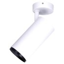 B-WARE SLV 1004584 NUMINOS® SPOT DALI L Indoor LED Deckenaufbauleuchte Weiß/Schwarz 2700K 60°