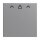 Busch-Jaeger 2CKA001710A4128 1792 RFID-83 ZentralscheibeCardschalter RFID