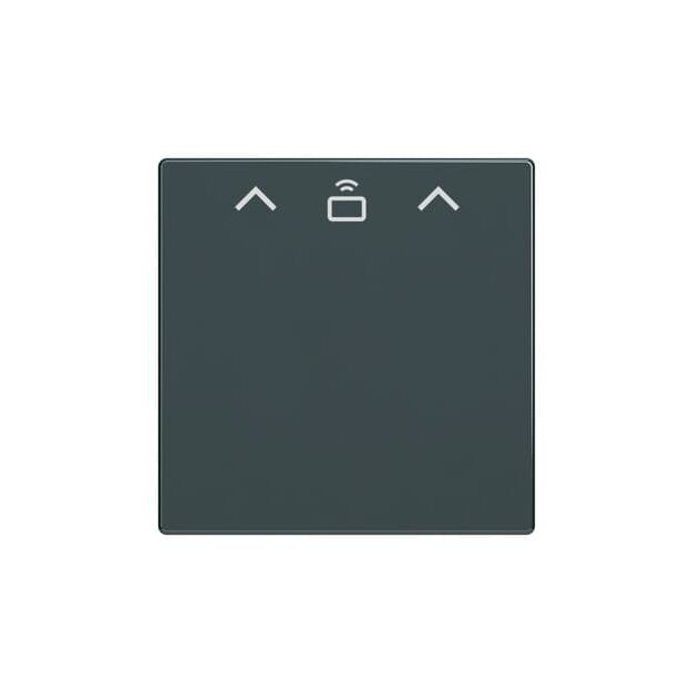 Busch-Jaeger 2CKA001710A4130 1792 RFID-81 ZentralscheibeCardschalter RFID