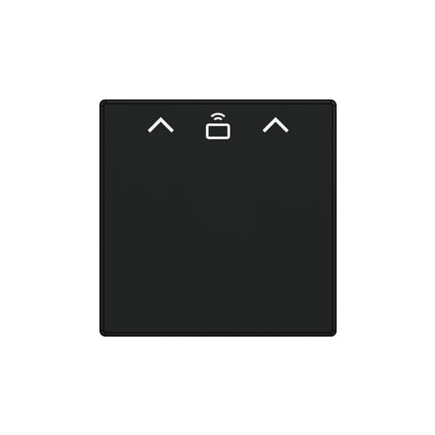 Busch-Jaeger 2CKA001710A4131 1792 RFID-885 ZentralscheibeCardschalter RFID