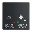 Busch-Jaeger 2CKA001751A3224 2058-24-885 Wippe DND/MUR...