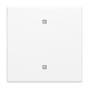 Busch-Jaeger 2CKA001751A3260 2570-10-884 Wippe...