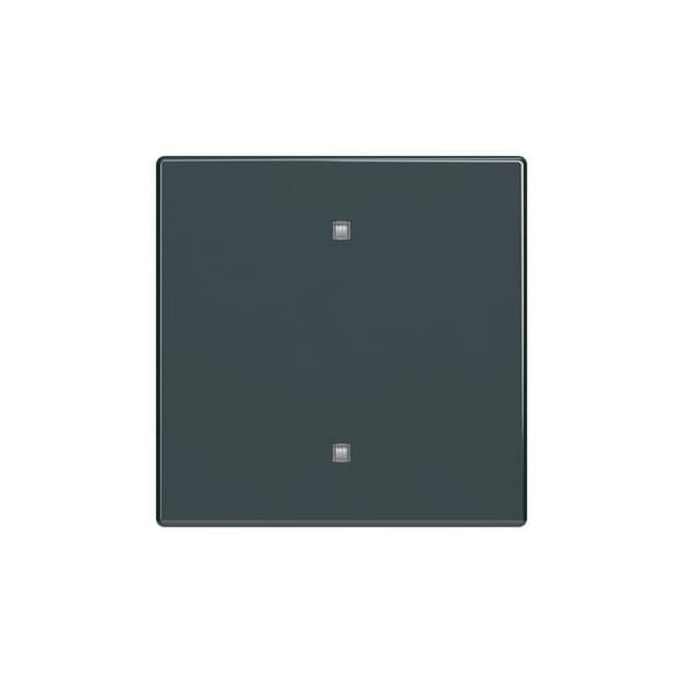 Busch-Jaeger 2CKA001751A3261 2570-10-81 Wippe Elektroniktaster