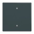 Busch-Jaeger 2CKA001751A3261 2570-10-81 Wippe...
