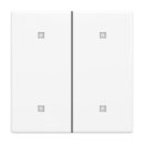 Busch-Jaeger 2CKA001751A3269 2570-20-84 Wippe 2-fach...