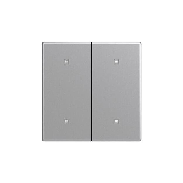 Busch-Jaeger 2CKA001751A3270 2570-20-83 Wippe 2-fach Elektroniktaster