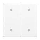 Busch-Jaeger 2CKA001751A3271 2570-20-884 Wippe 2-fach...