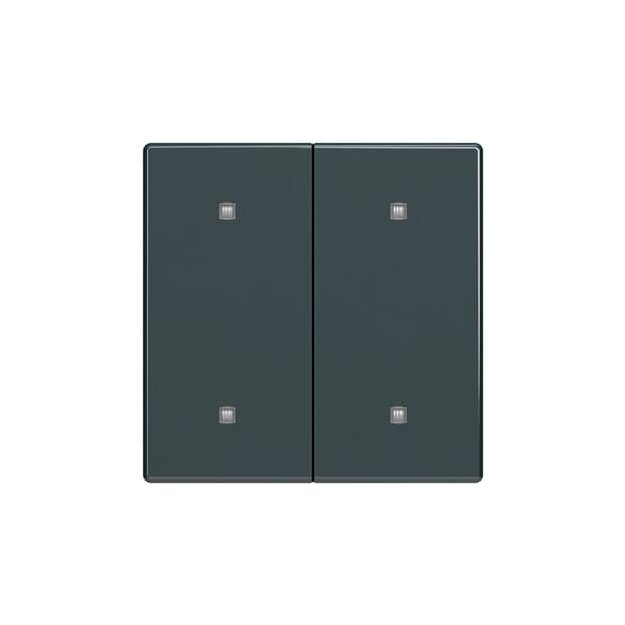 Busch-Jaeger 2CKA001751A3272 2570-20-81 Wippe 2-fach Elektroniktaster
