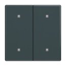 Busch-Jaeger 2CKA001751A3272 2570-20-81 Wippe 2-fach...