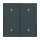 Busch-Jaeger 2CKA001751A3272 2570-20-81 Wippe 2-fach Elektroniktaster