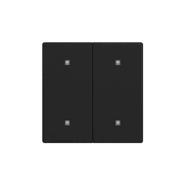 Busch-Jaeger 2CKA001751A3273 2570-20-885 Wippe 2-fach Elektroniktaster