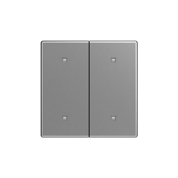Busch-Jaeger 2CKA001751A3276 2570-20-866 Wippe 2-fach Elektroniktaster