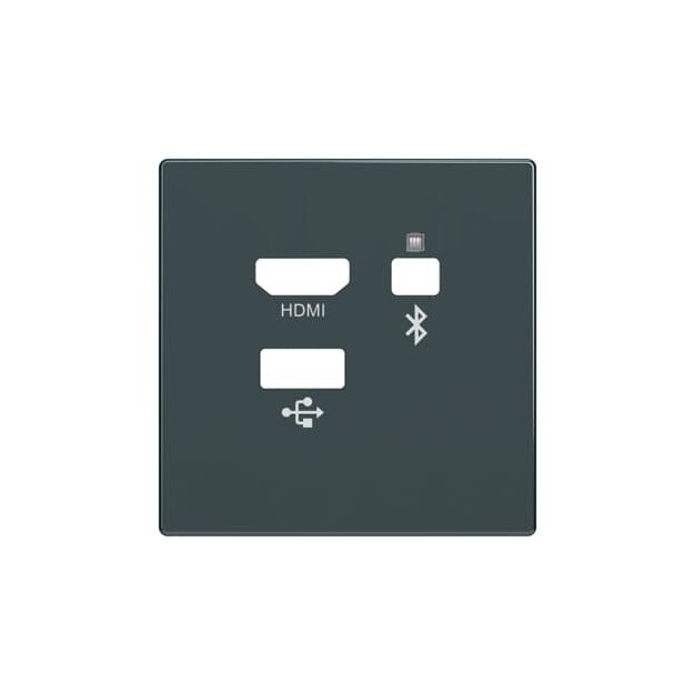 Busch-Jaeger 2CKA008200A0227 8256-81 Zentralscheibe Media Connector