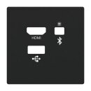 Busch-Jaeger 2CKA008200A0228 8256-885 Zentralscheibe...