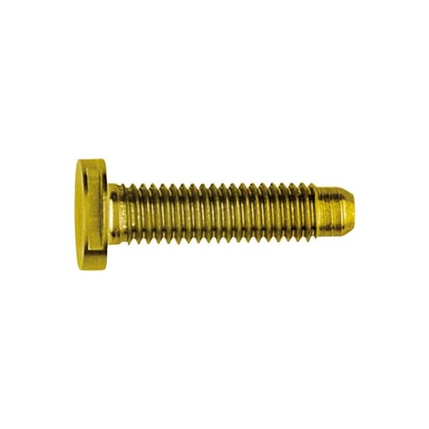 Elcom REH123Y Schraube Spezial ZY M5x25 PVD Messing