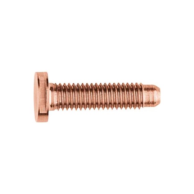 Elcom REH128Y Schraube Spezial ZY M5x25 PVD Variantic