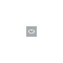 Brumberg 12593174 LED-Einbaurichtstrahler 230V AC 32W...