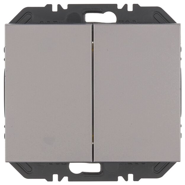 Berker 24127033 Friends of Hue Tasten mit Wippe 2-fach K.5 Alu lackiert