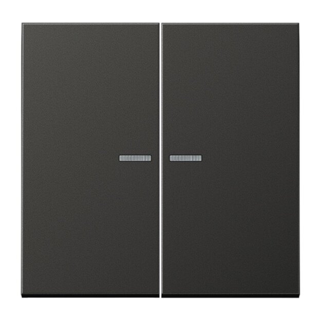 Jung AL10921STRFAN KNX RF Taster 2-fach (Metallausführung) Anthrazit (lackiertes Aluminium) Serie LS