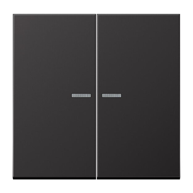 Jung AL10921STRFD KNX RF Taster 2-fach (Metallausführung) Dark (lackiertes Aluminium) Serie LS