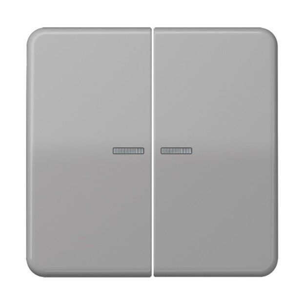 Jung CD10921STRFGR KNX RF Taster 2-fach (Duroplast hochkratzfest glänzend) Grau Serie CD