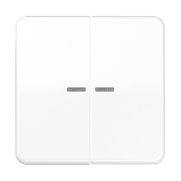 Jung CD10921STRFWW KNX RF Taster 2-fach (Duroplast hochkratzfest glänzend) Alpinweiß Serie CD
