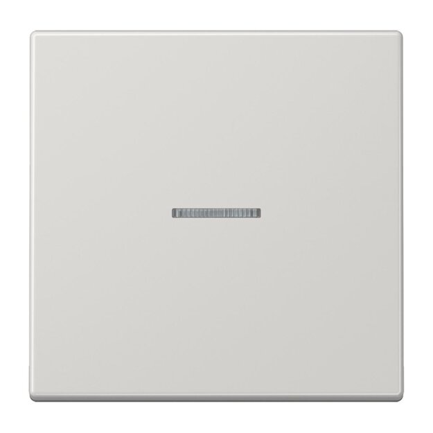 Jung LS10911STRFLG KNX RF Taster 1-fach (Duroplast hochkratzfest glänzend) Lichtgrau Serie LS