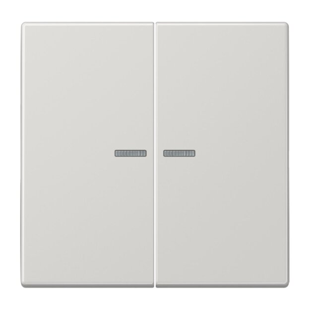 Jung LS10921STRFLG KNX RF Taster 2-fach (Duroplast hochkratzfest glänzend) Lichtgrau Serie LS