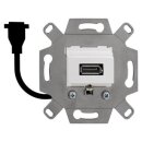 Rutenbeck Unterputz-DisplayPort-Anschlussdose 1-fach mit...