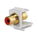Rutenbeck Cinch-Keystone Gelb für Montageadapter...