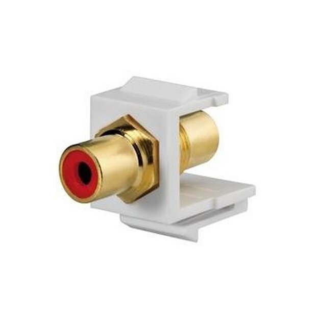 Rutenbeck Cinch-Keystone weiß für Montageadapter KMK-MA Up